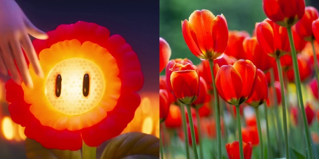 Mario Fire Flower and Tulips